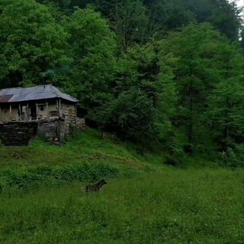 با گیتار طوره دای زئی وا منمه قورسونه آرزومه کنمه